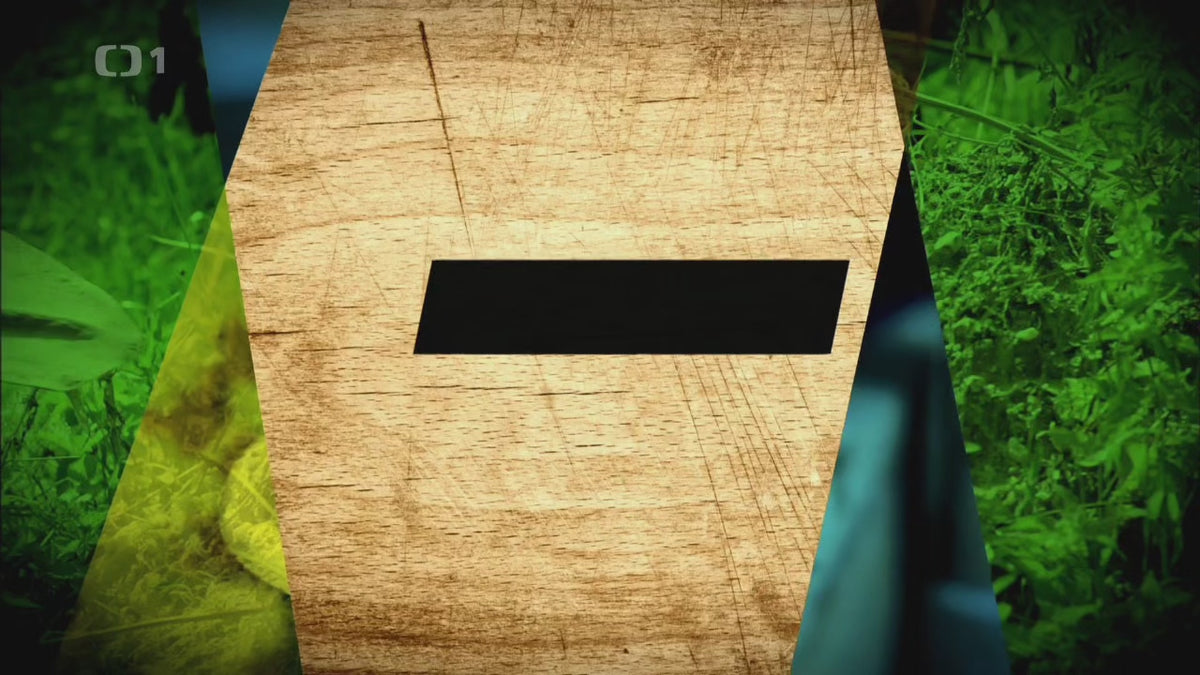 Načíst video: 