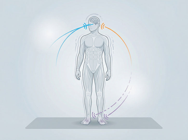 Vestibulární systém těla